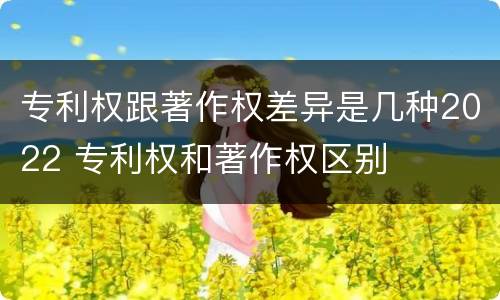 专利权跟著作权差异是几种2022 专利权和著作权区别