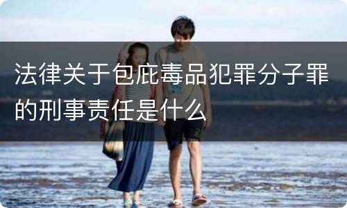 法律关于包庇毒品犯罪分子罪的刑事责任是什么