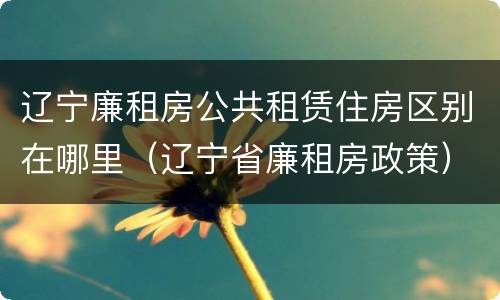 辽宁廉租房公共租赁住房区别在哪里（辽宁省廉租房政策）