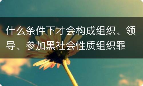 什么条件下才会构成组织、领导、参加黑社会性质组织罪
