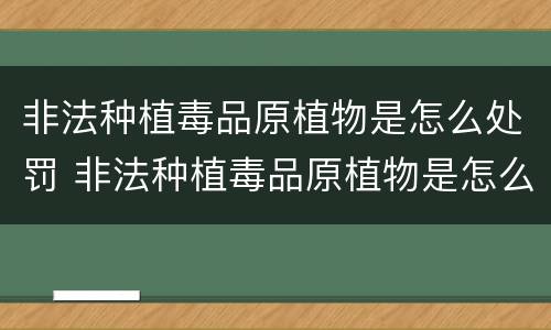 非法种植毒品原植物是怎么处罚 非法种植毒品原植物是怎么处罚的