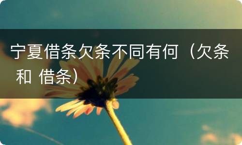 宁夏借条欠条不同有何（欠条 和 借条）