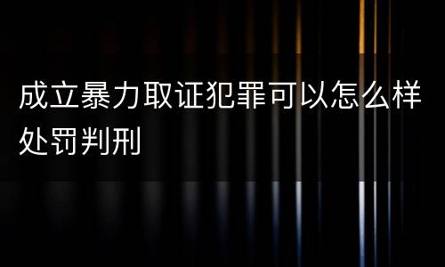成立暴力取证犯罪可以怎么样处罚判刑