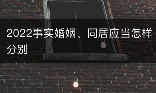 2022事实婚姻、同居应当怎样分别