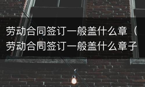 劳动合同签订一般盖什么章（劳动合同签订一般盖什么章子）