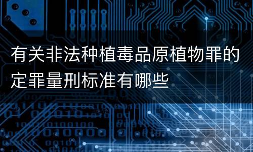 有关非法种植毒品原植物罪的定罪量刑标准有哪些