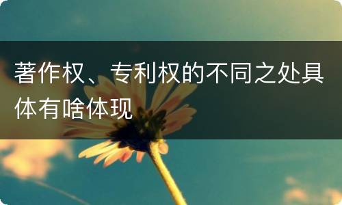 著作权、专利权的不同之处具体有啥体现