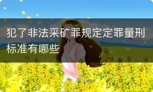 犯了非法采矿罪规定定罪量刑标准有哪些