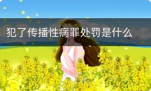 犯了传播性病罪处罚是什么