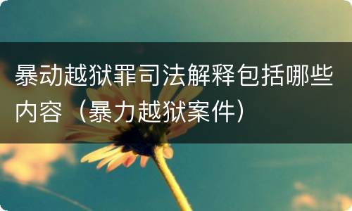 暴动越狱罪司法解释包括哪些内容（暴力越狱案件）