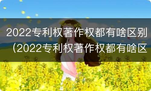 2022专利权著作权都有啥区别（2022专利权著作权都有啥区别呢）