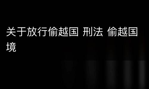 关于放行偷越国 刑法 偷越国境