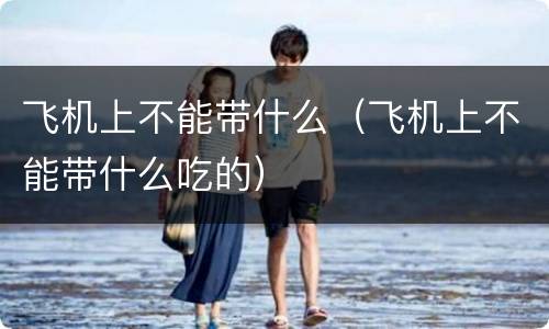 飞机上不能带什么（飞机上不能带什么吃的）