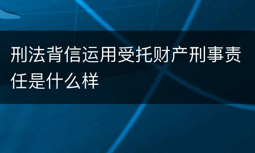 刑法背信运用受托财产刑事责任是什么样