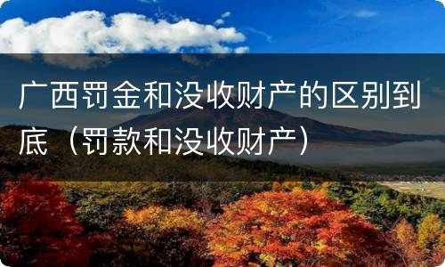 广西罚金和没收财产的区别到底（罚款和没收财产）