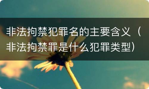非法拘禁犯罪名的主要含义（非法拘禁罪是什么犯罪类型）