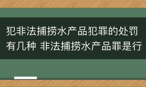 犯非法捕捞水产品犯罪的处罚有几种 非法捕捞水产品罪是行为犯吗