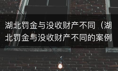 湖北罚金与没收财产不同（湖北罚金与没收财产不同的案例）