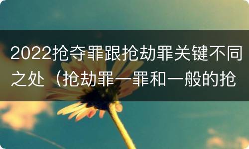 2022抢夺罪跟抢劫罪关键不同之处（抢劫罪一罪和一般的抢劫罪）