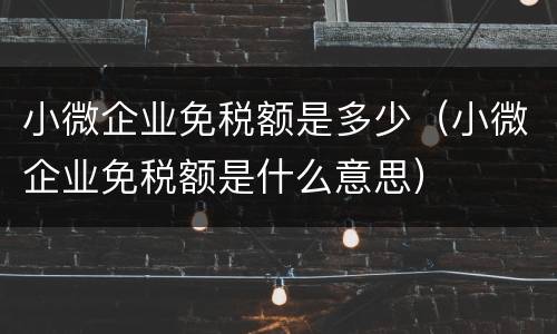 小微企业免税额是多少（小微企业免税额是什么意思）