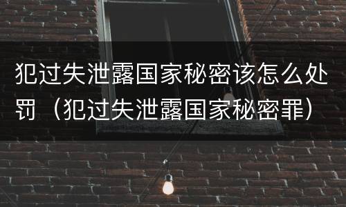 犯过失泄露国家秘密该怎么处罚（犯过失泄露国家秘密罪）