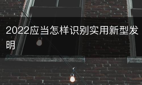 2022应当怎样识别实用新型发明