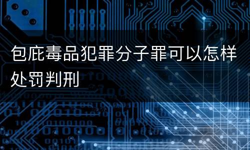 包庇毒品犯罪分子罪可以怎样处罚判刑