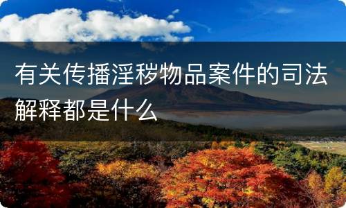 有关传播淫秽物品案件的司法解释都是什么