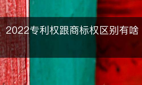2022专利权跟商标权区别有啥