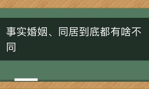 事实婚姻、同居到底都有啥不同