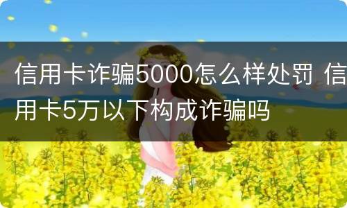 信用卡诈骗5000怎么样处罚 信用卡5万以下构成诈骗吗