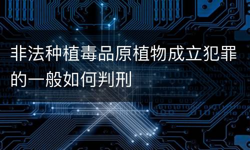 非法种植毒品原植物成立犯罪的一般如何判刑