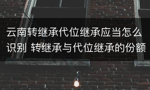 云南转继承代位继承应当怎么识别 转继承与代位继承的份额有什么区别