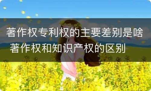 著作权专利权的主要差别是啥 著作权和知识产权的区别