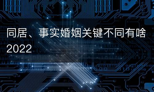 同居、事实婚姻关键不同有啥2022
