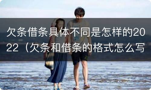 欠条借条具体不同是怎样的2022（欠条和借条的格式怎么写）