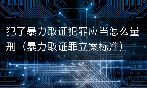 犯了暴力取证犯罪应当怎么量刑（暴力取证罪立案标准）