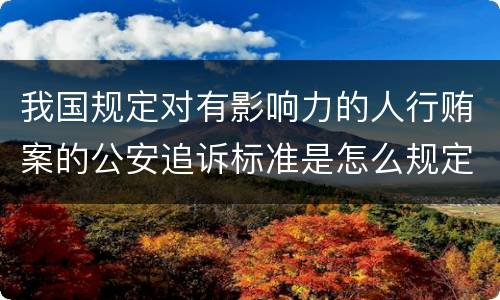 我国规定对有影响力的人行贿案的公安追诉标准是怎么规定