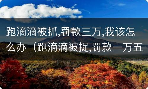 跑滴滴被抓,罚款三万,我该怎么办（跑滴滴被捉,罚款一万五,找人花了五千滴滴还给报吗）