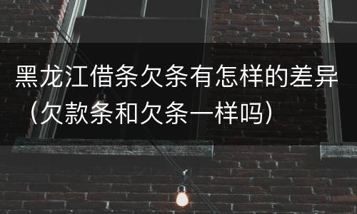 黑龙江借条欠条有怎样的差异（欠款条和欠条一样吗）