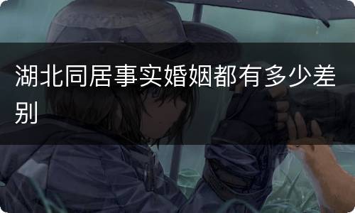 湖北同居事实婚姻都有多少差别