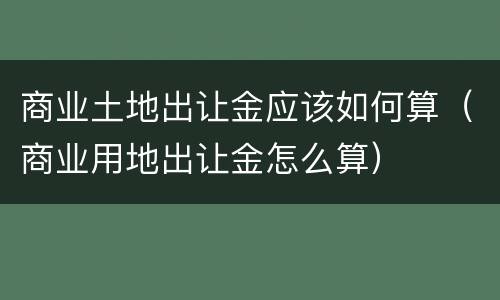 商业土地出让金应该如何算（商业用地出让金怎么算）