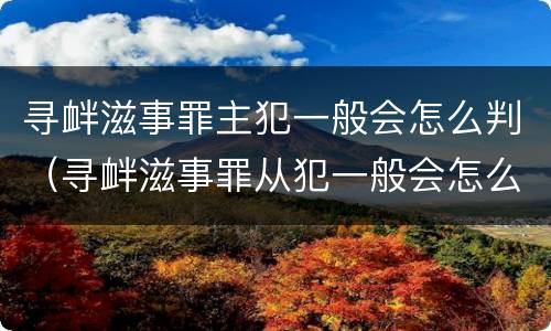 寻衅滋事罪主犯一般会怎么判（寻衅滋事罪从犯一般会怎么判）