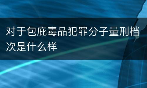 对于包庇毒品犯罪分子量刑档次是什么样