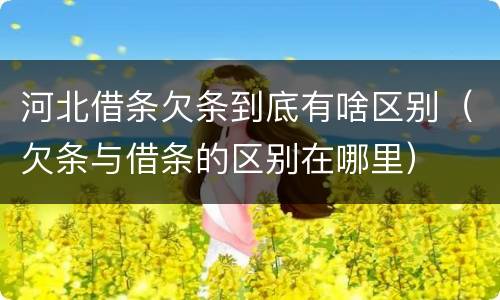 河北借条欠条到底有啥区别（欠条与借条的区别在哪里）