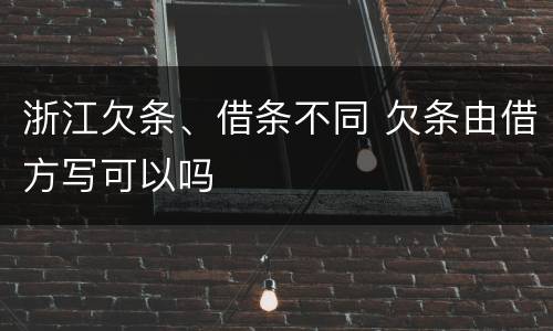 浙江欠条、借条不同 欠条由借方写可以吗