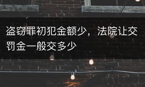 盗窃罪初犯金额少，法院让交罚金一般交多少