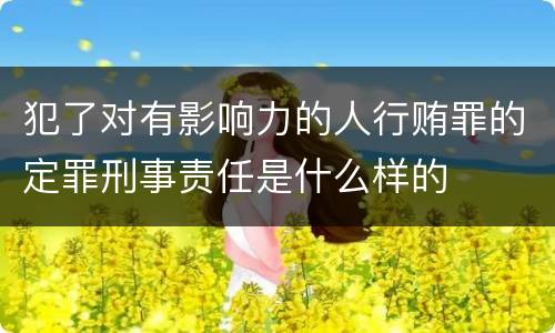 犯了对有影响力的人行贿罪的定罪刑事责任是什么样的