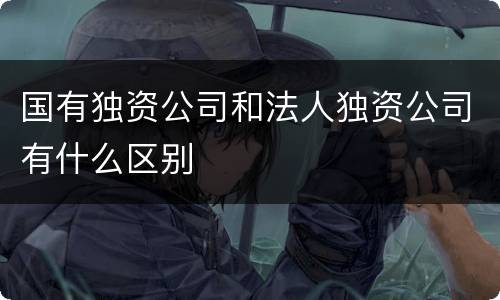 国有独资公司和法人独资公司有什么区别