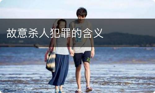 故意杀人犯罪的含义